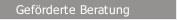 Gef&ouml;rderte Beratung
