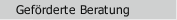 Gef&ouml;rderte Beratung